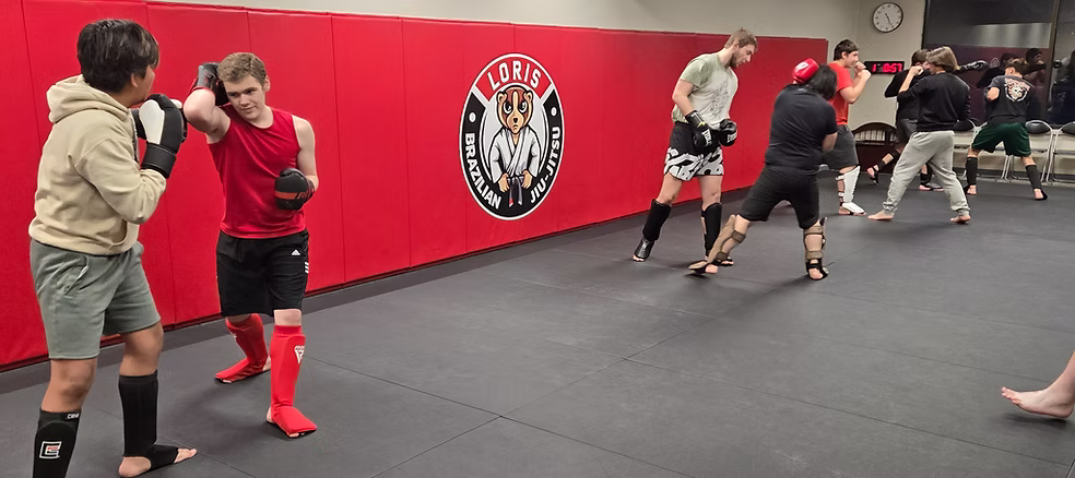 Muay Thai & Striking training at Loris Brazilian Jiu-Jitsu
